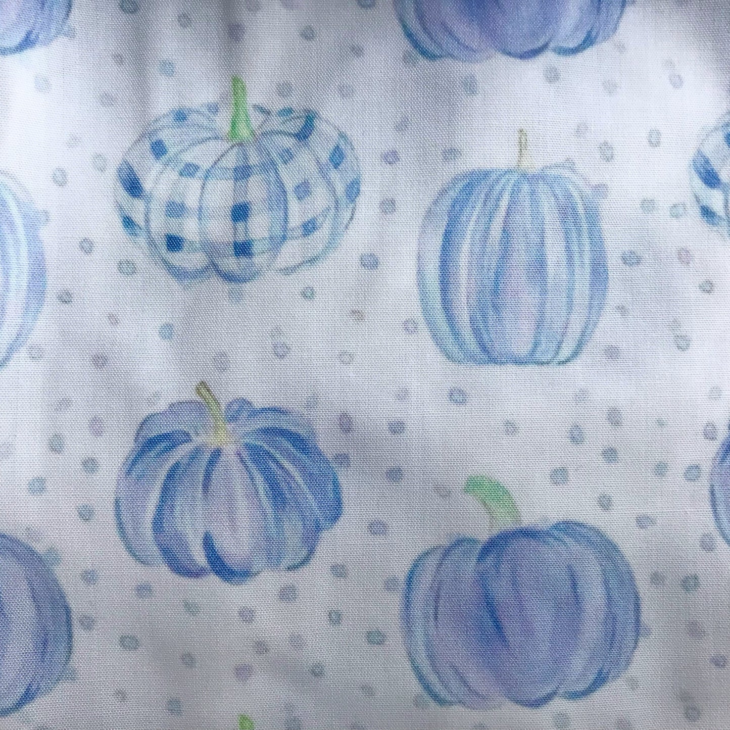 2-Pc Blue Pumpkin Applique Scalloped Pants Set