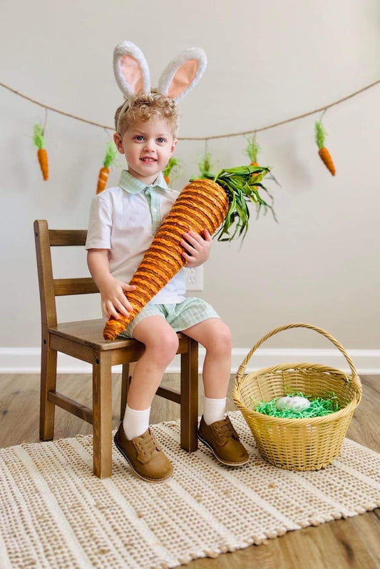 Peter Rabbit Shorts Set