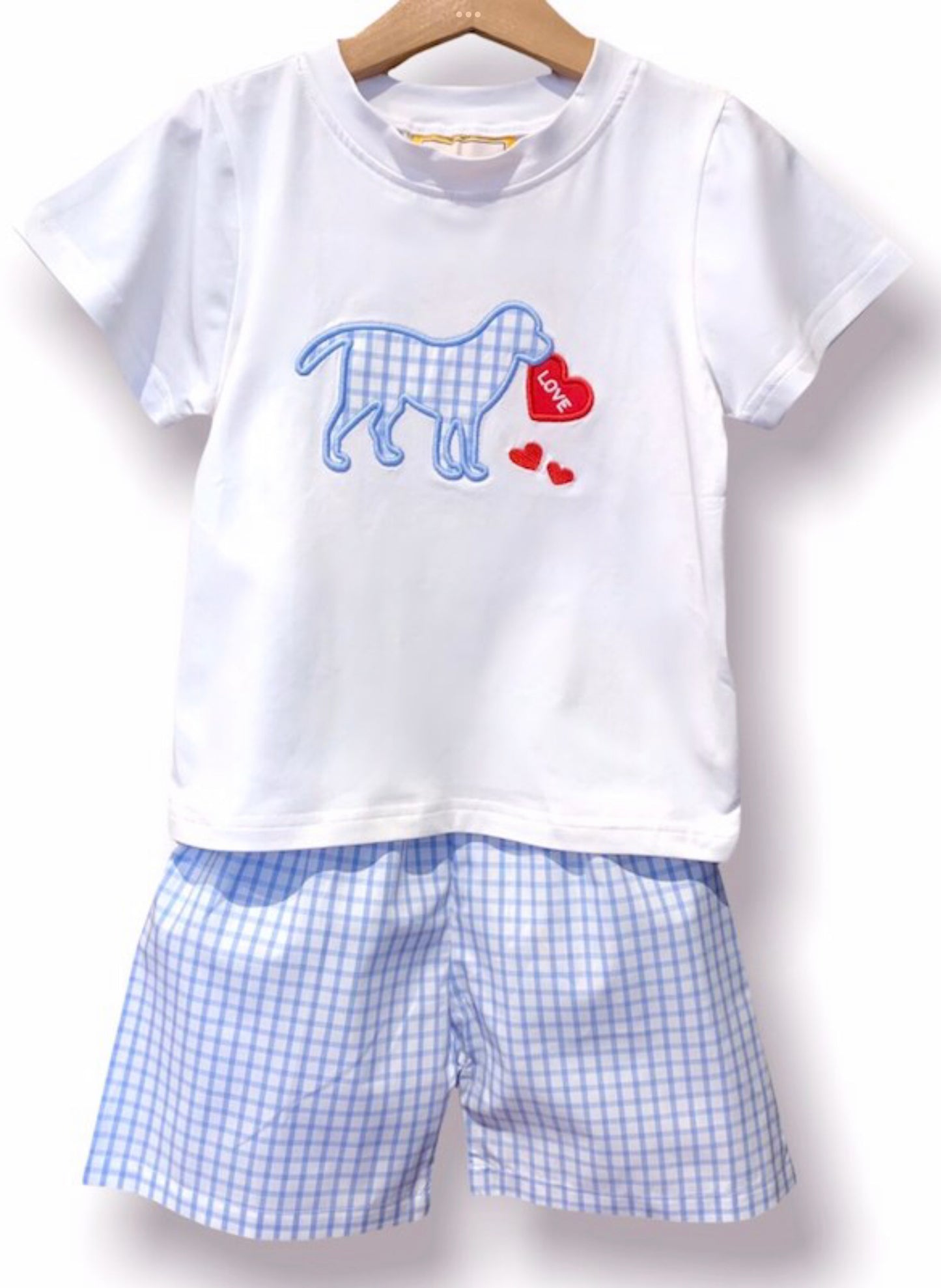 Valentine Delivery Shorts Set