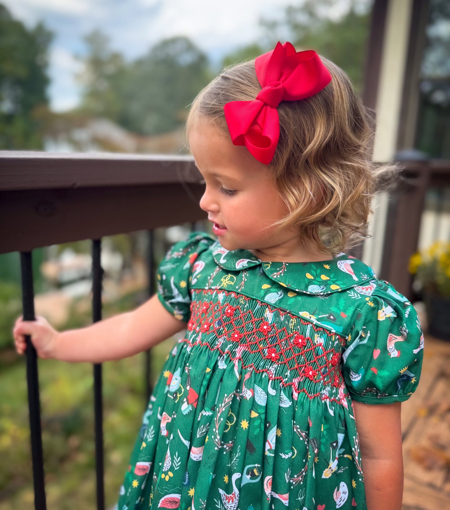 12 Days of Christmas Smocked Dress